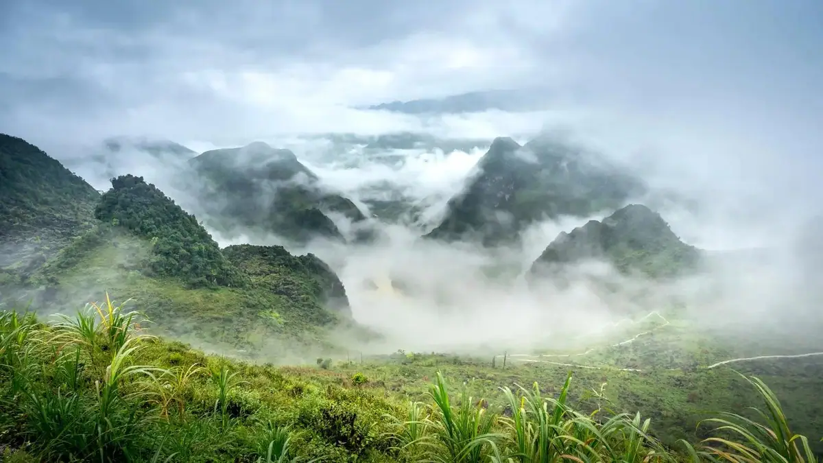 Peak Season (November to March)